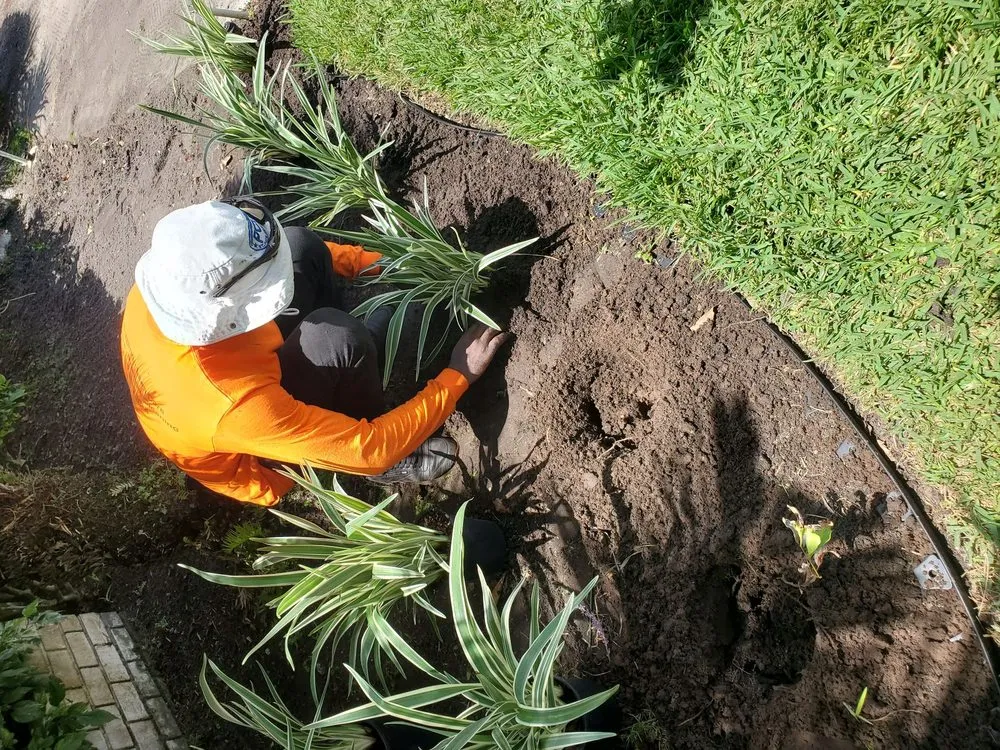 Expert yard maintenance in Kenneth, FL - Briscoe Brothers Lawn Care