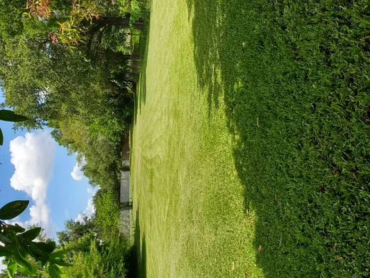 Briscoe Brothers Lawn Care