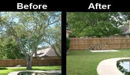 Expert garden landscaping experts serving Wichita, KS - Briscoe Family Tree and Landscaping