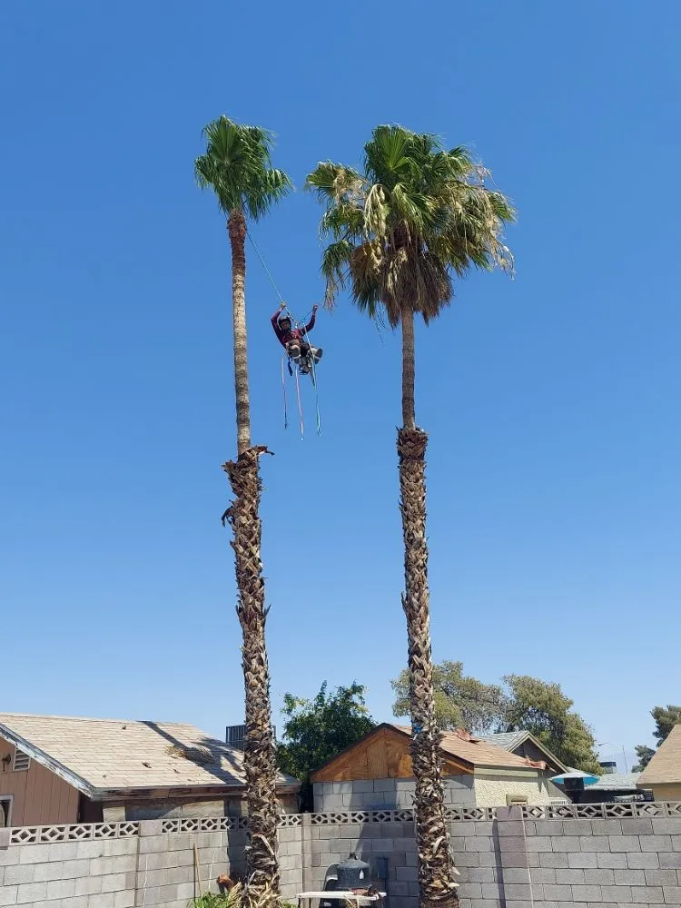 Trusted residential landscaping in City of Industry, CA by Briseños Tree Service & Landscaping