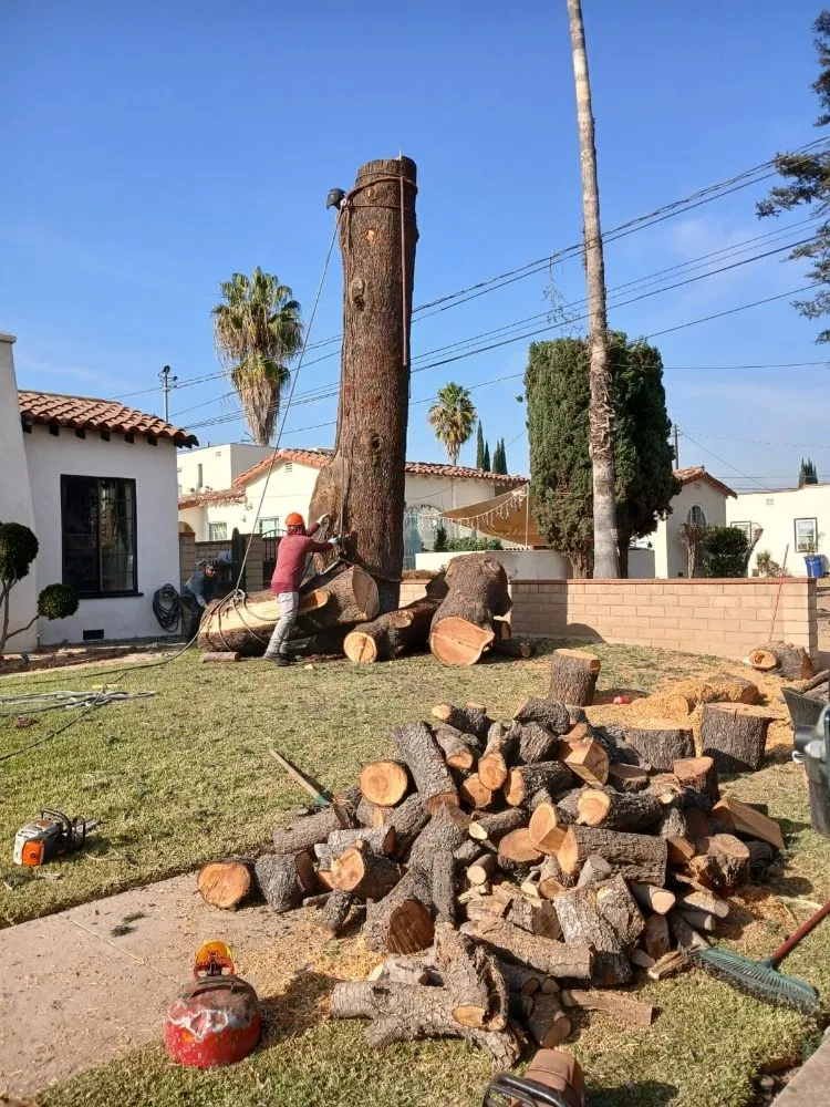 Trusted landscape design in City of Industry, CA by Briseños Tree Service & Landscaping