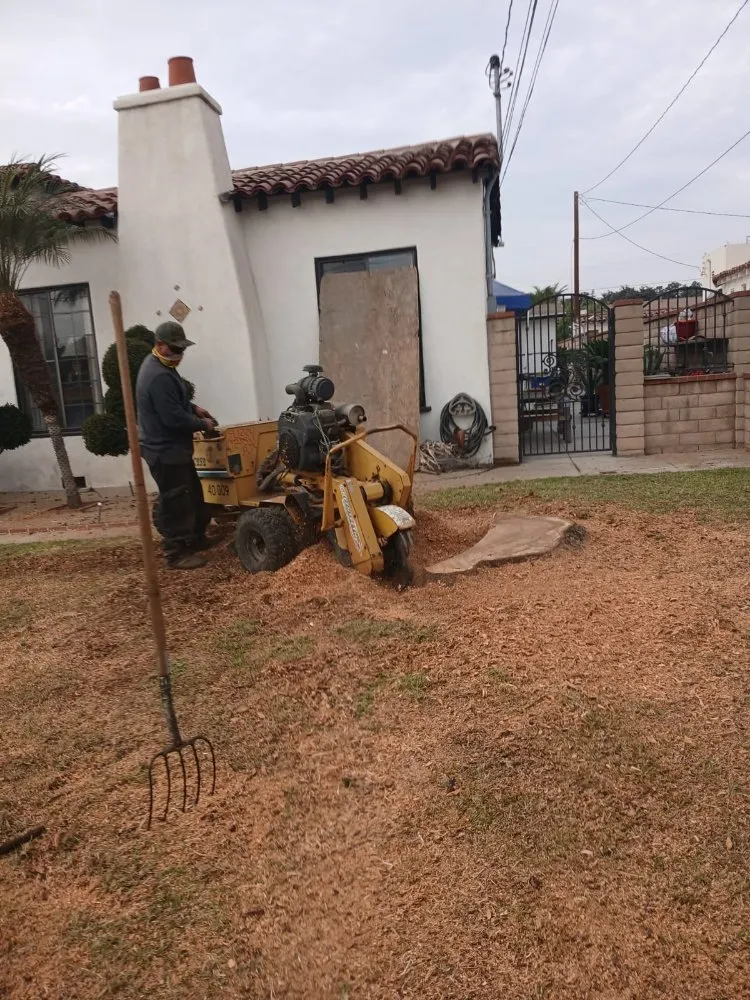 Affordable garden landscaping experts serving City of Industry, CA - Briseños Tree Service & Landscaping