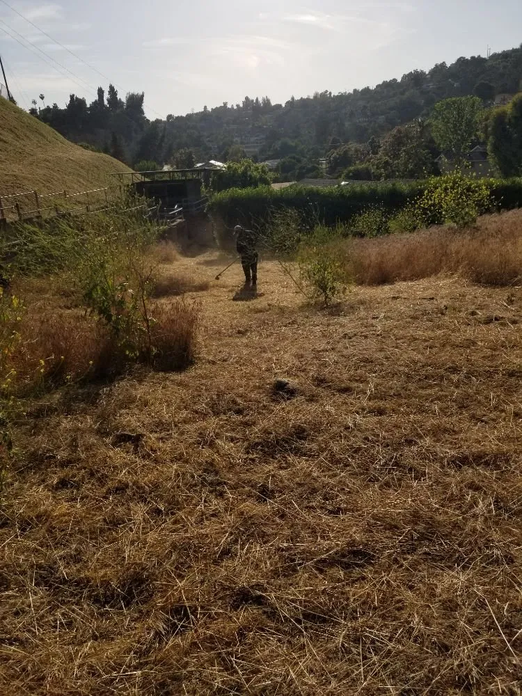 Reliable residential landscaping in City of Industry, CA - Briseños Tree Service & Landscaping