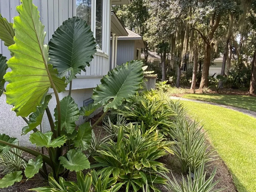 Reliable landscape installation near you across Savannah, GA - Brist Landscape