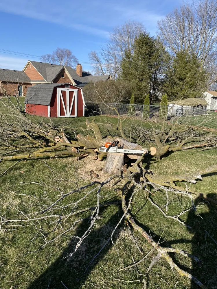 Top-rated lawn care service in Bristol, IL - Bristol Complete Yard Care