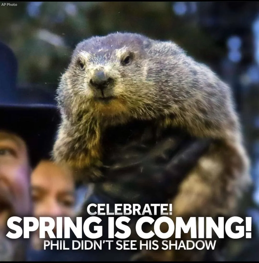 Professional outdoor landscaping for year-round maintenance in Bristol, VA by Bristol Lawn Pros