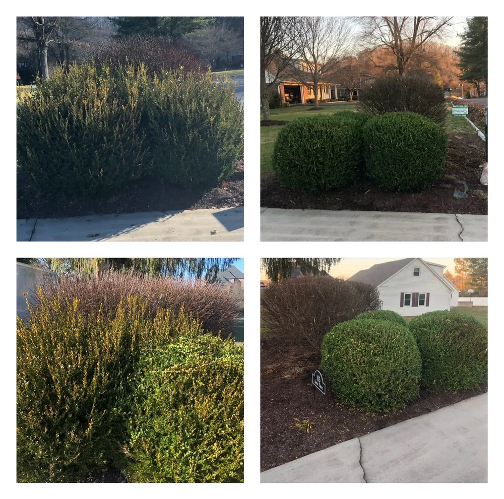 Custom yard maintenance in Bristol, VA - Bristol Lawn Pros