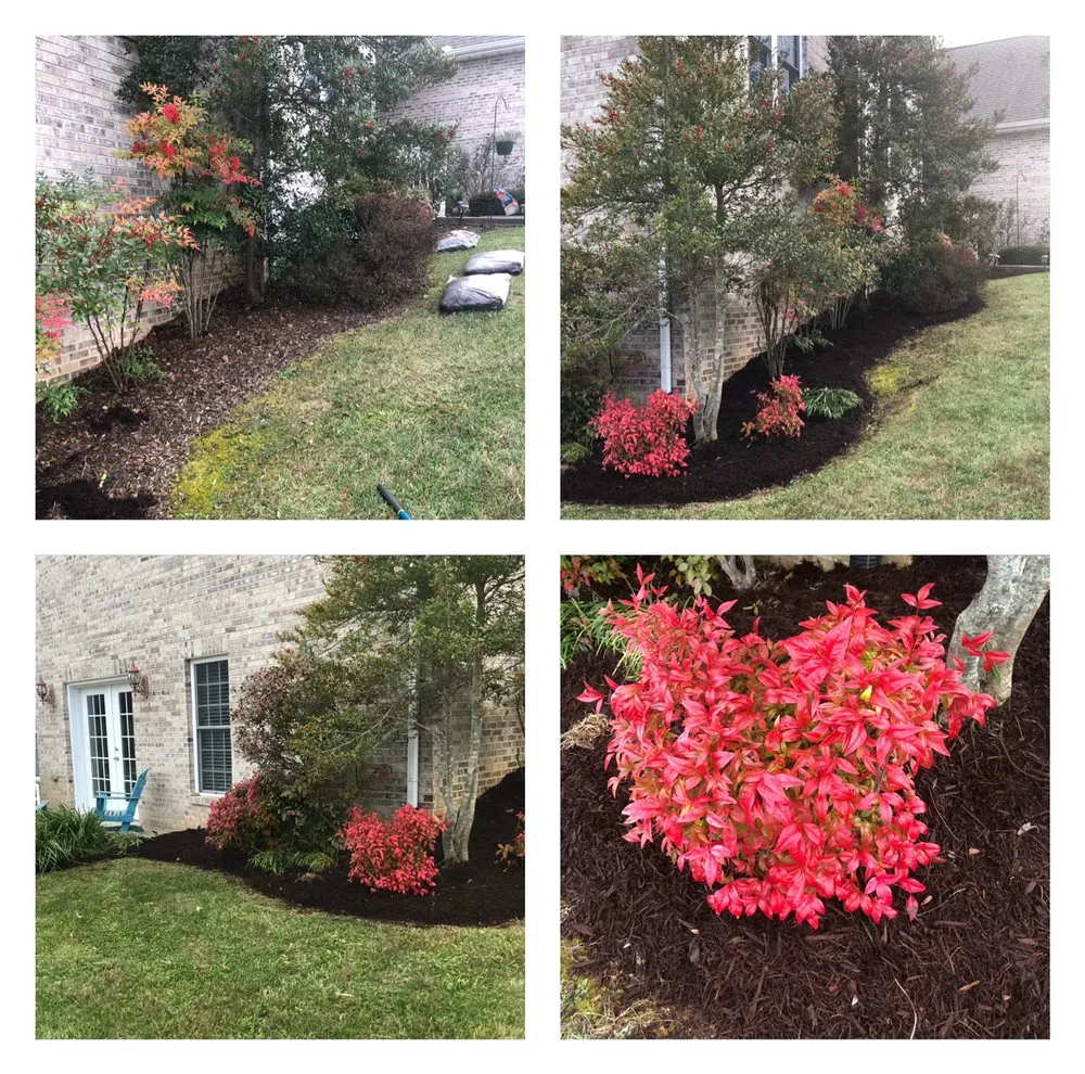 Top-rated lawn mowing service in Bristol, VA by Bristol Lawn Pros