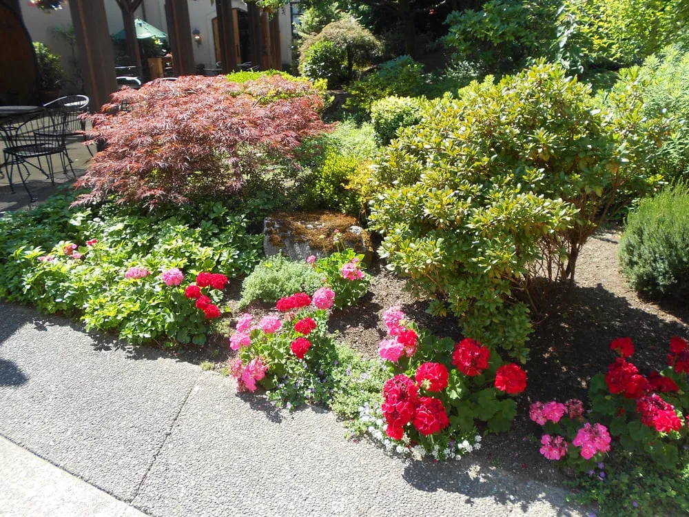 Local landscape installation for beautiful yards across Orlando, FL - Britestone Restoration & Powerwash