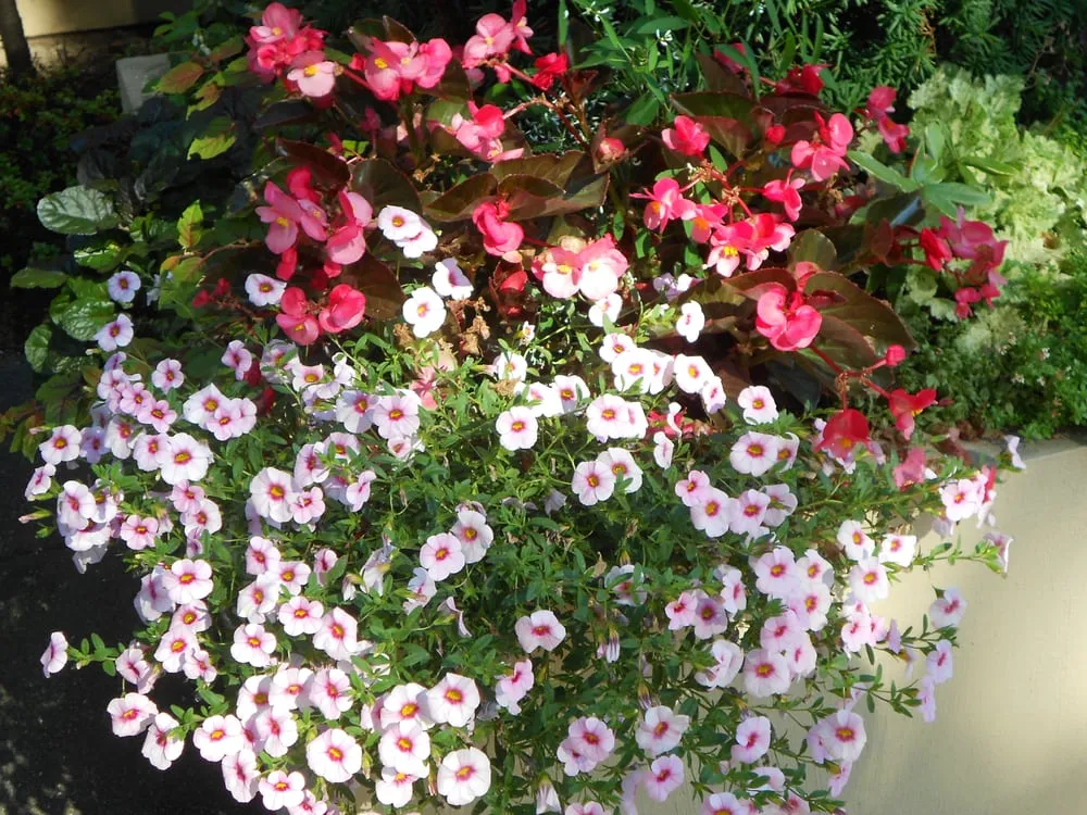 Top-rated landscaping services in Orlando, FL - Britestone Restoration & Powerwash