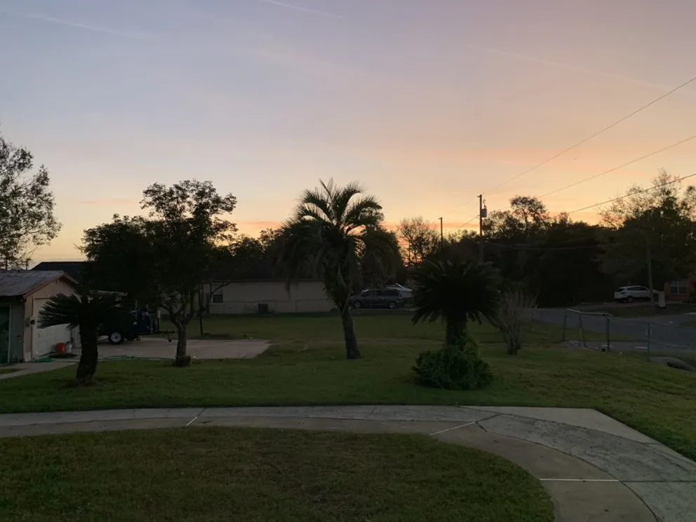 Expert yard maintenance for beautiful yards in Orlando, FL by Britestone Restoration & Powerwash