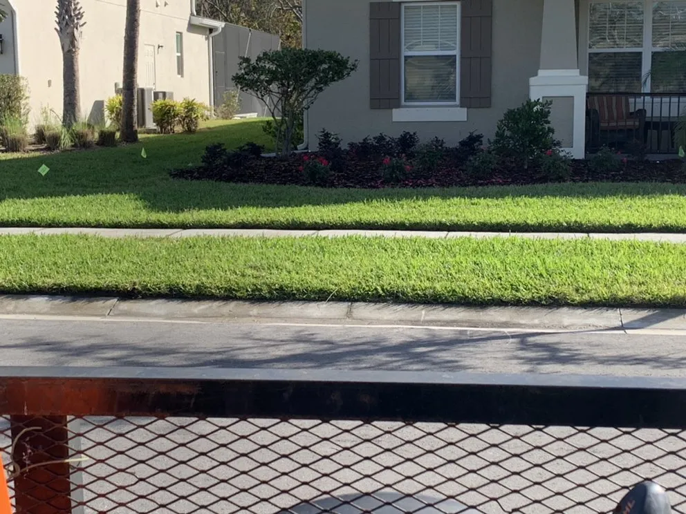 Trusted yard cleanup service experts serving Orlando, FL - Britestone Restoration & Powerwash
