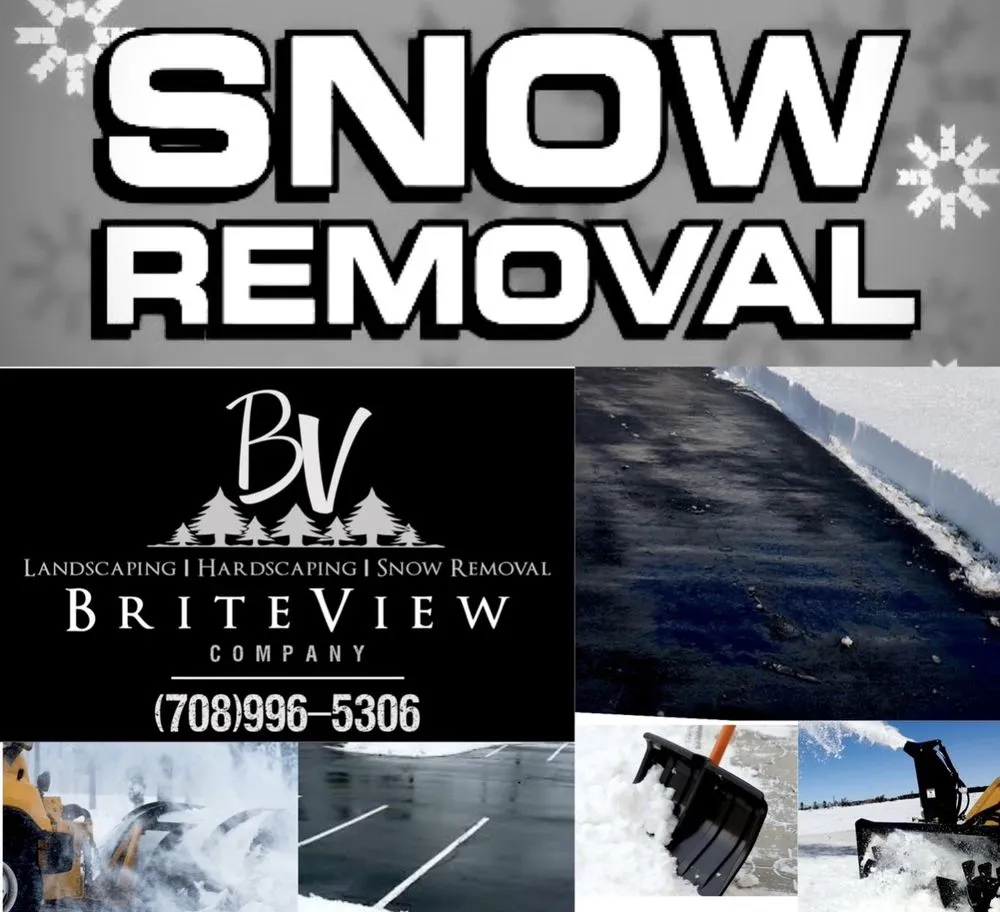 Affordable landscape installation experts serving Merrillville, IN - BriteView