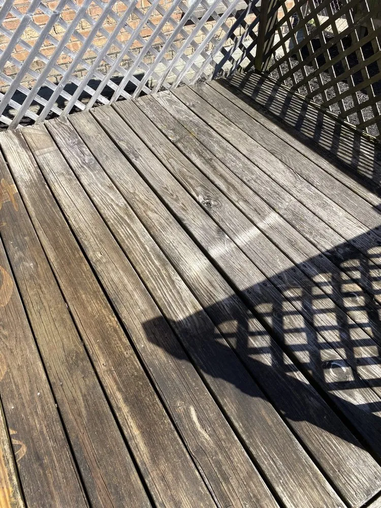 Custom yard cleanup service in South Holland, IL by Britt Getz It Done