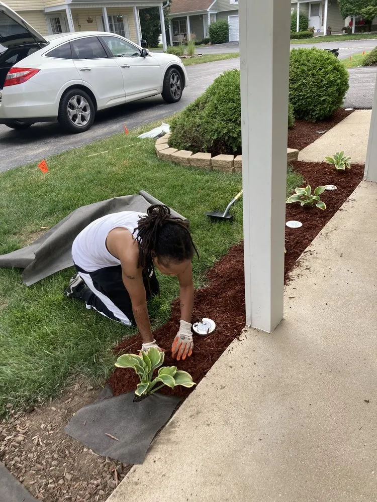 Reliable landscaping services in South Holland, IL by Britt Getz It Done