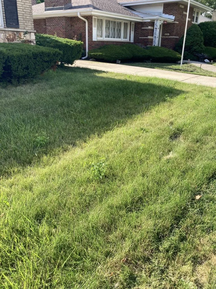 Top-rated residential landscaping in South Holland, IL by Britt Getz It Done