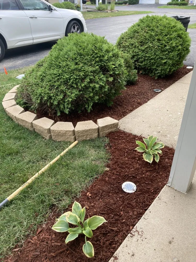 Top-rated yard cleanup service for homes in South Holland, IL by Britt Getz It Done