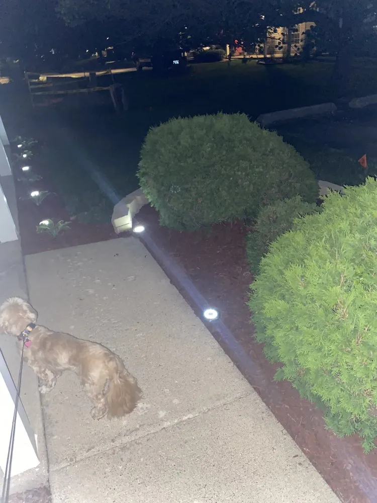 Top-rated outdoor landscaping in South Holland, IL - Britt Getz It Done