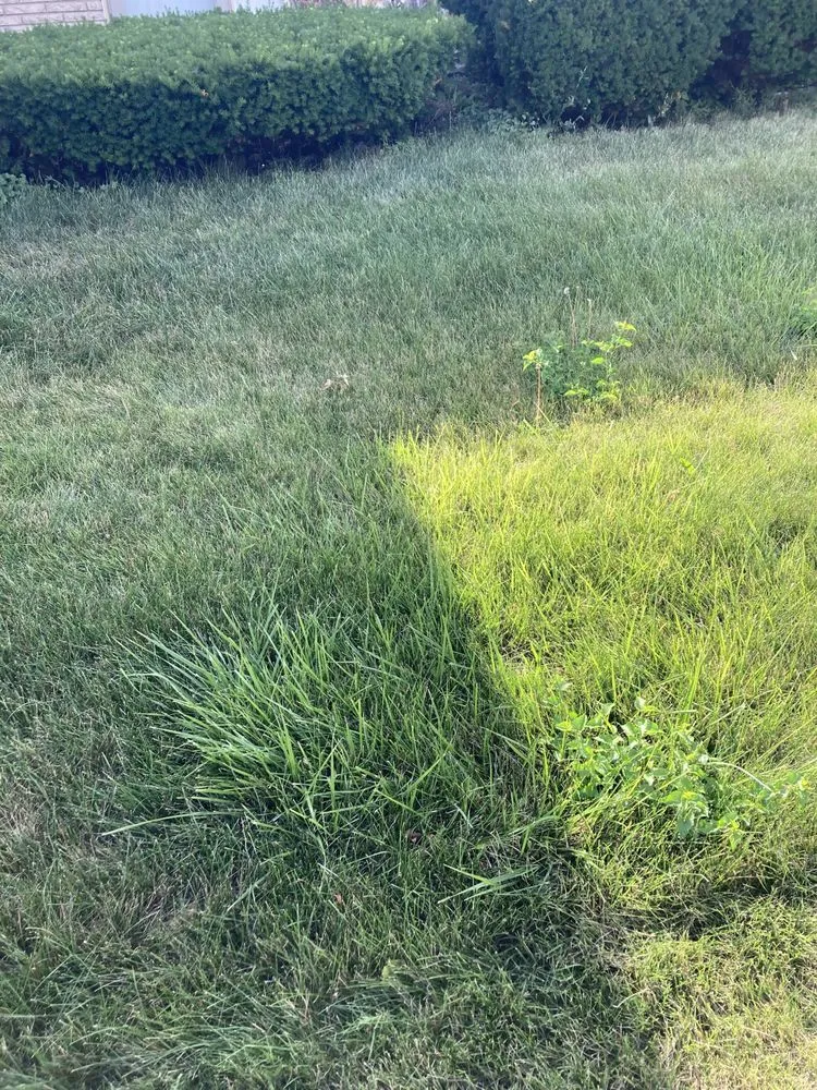 Trusted landscape design for outdoor upgrades in South Holland, IL by Britt Getz It Done