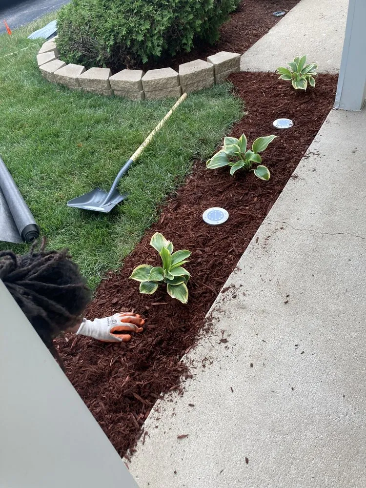 Professional garden landscaping in South Holland, IL by Britt Getz It Done