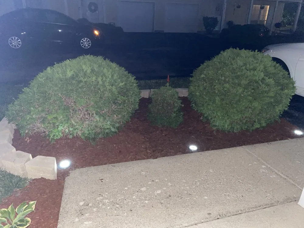 Professional lawn care service for year-round maintenance across South Holland, IL - Britt Getz It Done