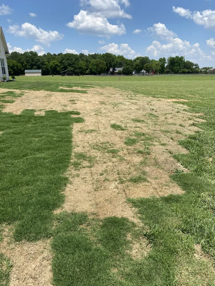 Trusted yard maintenance for residential properties in Decatur, AL by Britt Lawncare & Landscaping