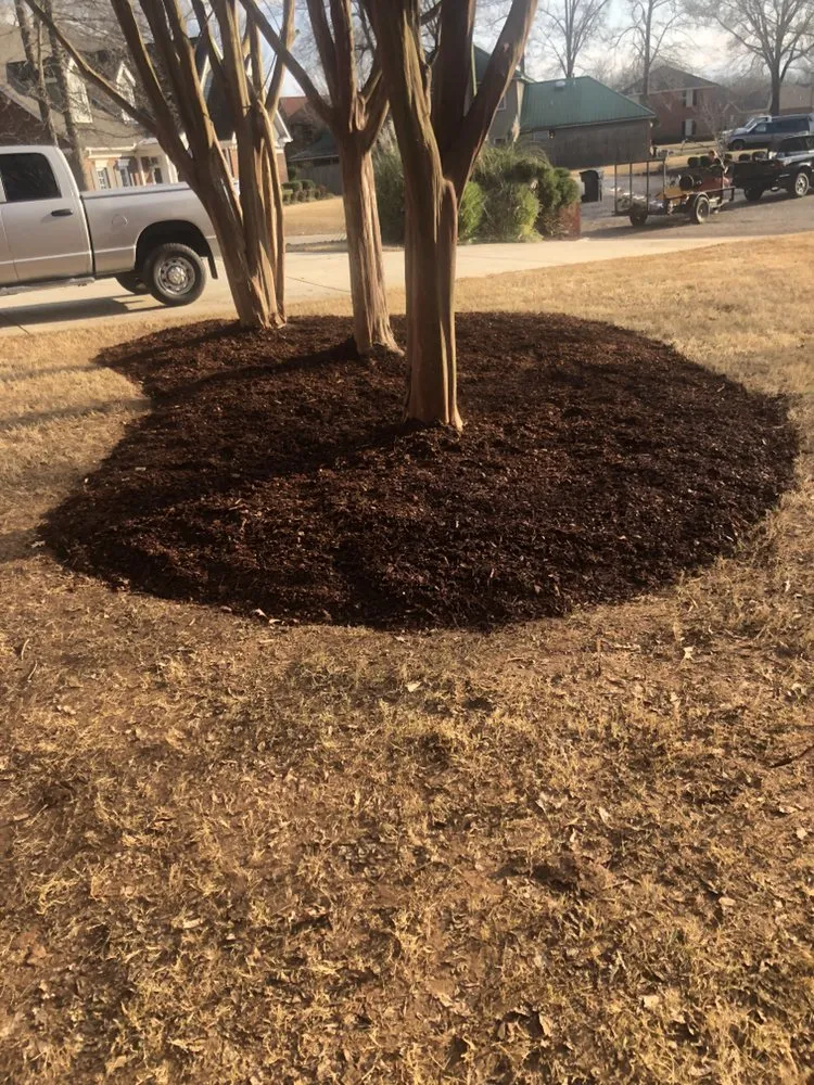 Affordable lawn mowing service for beautiful yards in Decatur, AL by Britt Lawncare & Landscaping