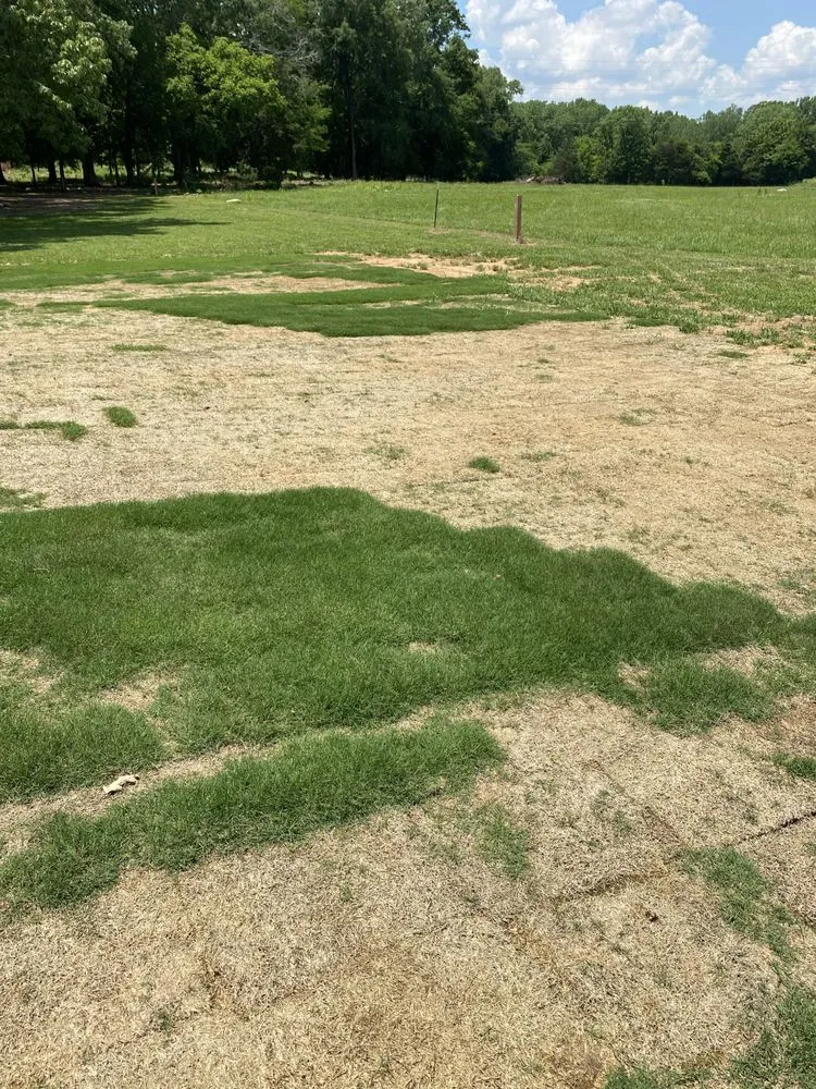 Local lawn care service for homes in Decatur, AL by Britt Lawncare & Landscaping