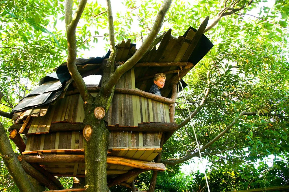 Reliable yard cleanup service for outdoor upgrades in Fall City, WA by Britton Shepard Landscapes