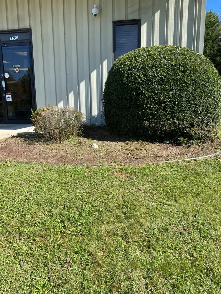 Professional yard cleanup service in Lynchburg, VA - Britton's Father & Daughter Lawn Care