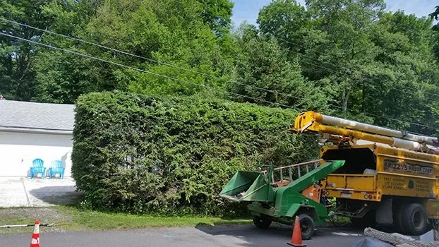 Professional landscape design for residential properties in Hunlock Creek, PA by Brizzy's Arbor Care and Landscaping