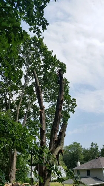 Top-rated outdoor landscaping near you across Hunlock Creek, PA - Brizzy's Arbor Care and Landscaping