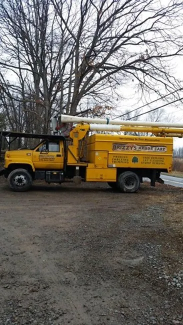 Reliable residential landscaping experts serving Hunlock Creek, PA - Brizzy's Arbor Care and Landscaping
