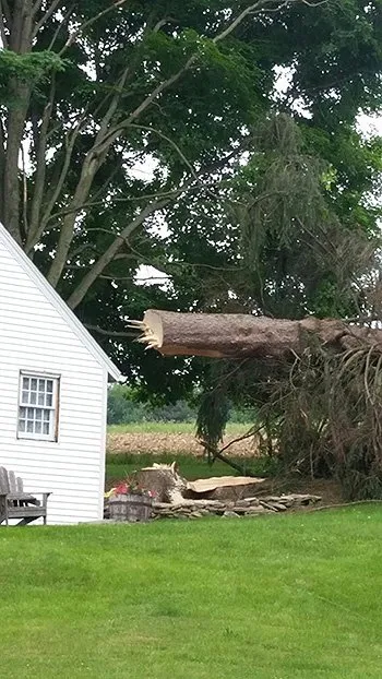 Affordable yard maintenance experts serving Hunlock Creek, PA - Brizzy's Arbor Care and Landscaping