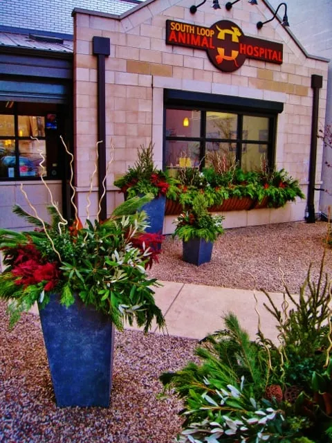 Reliable yard maintenance experts serving Chicago, IL - BRL Design