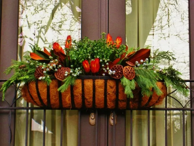 Top-rated yard cleanup service experts serving Chicago, IL - BRL Design