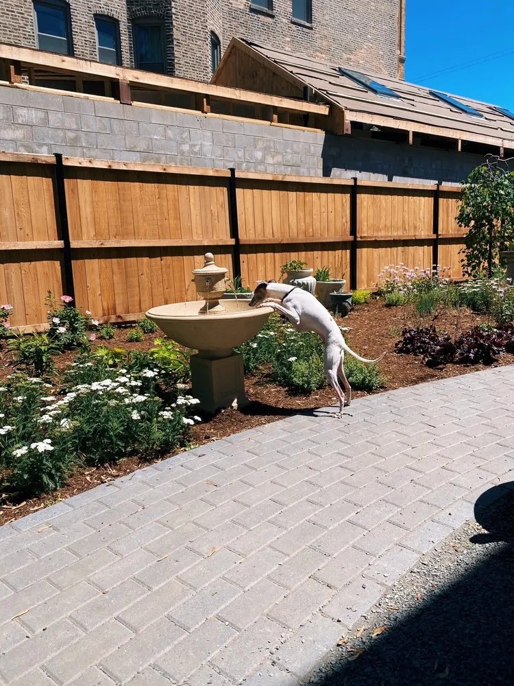 Affordable lawn care service in Chicago, IL by BRL Design