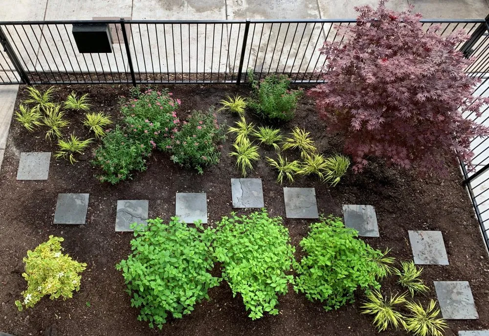 Expert yard cleanup service for year-round maintenance in Chicago, IL by BRL Design