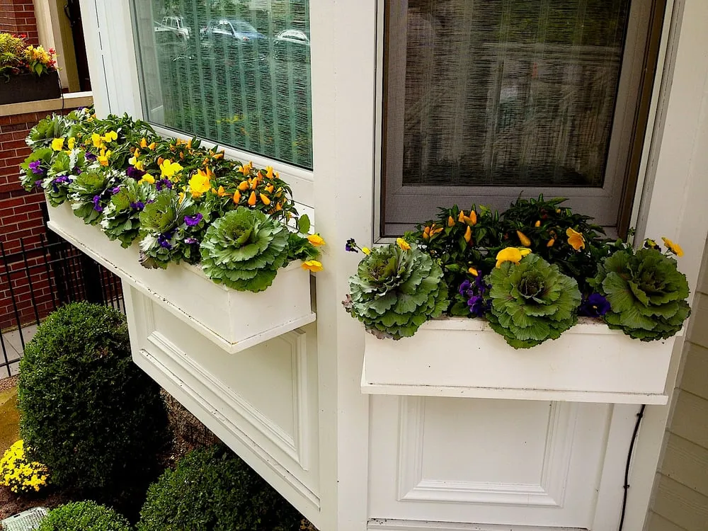 Top-rated yard cleanup service with custom design across Chicago, IL - BRL Design