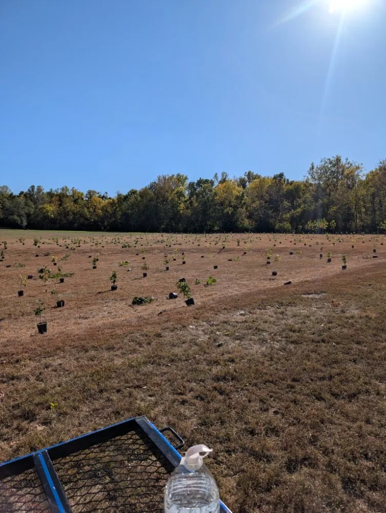 Custom residential landscaping with custom design in Indianapolis, IN by Bro Landscape Contractors