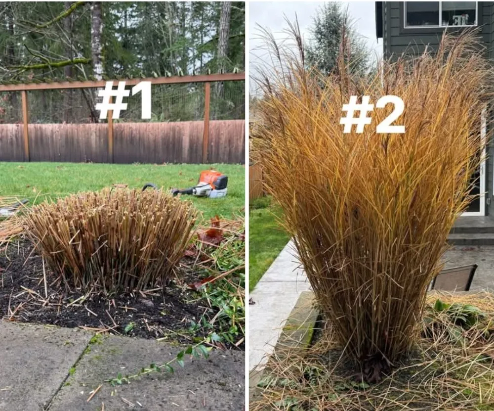 Local landscape installation for beautiful yards in Indianapolis, IN by Bro Landscape Contractors