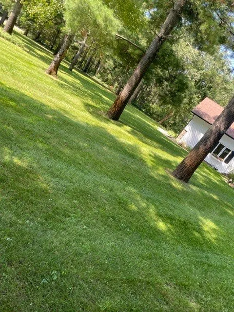 Trusted yard cleanup service experts serving Bemidji, MN - Bro Mowing