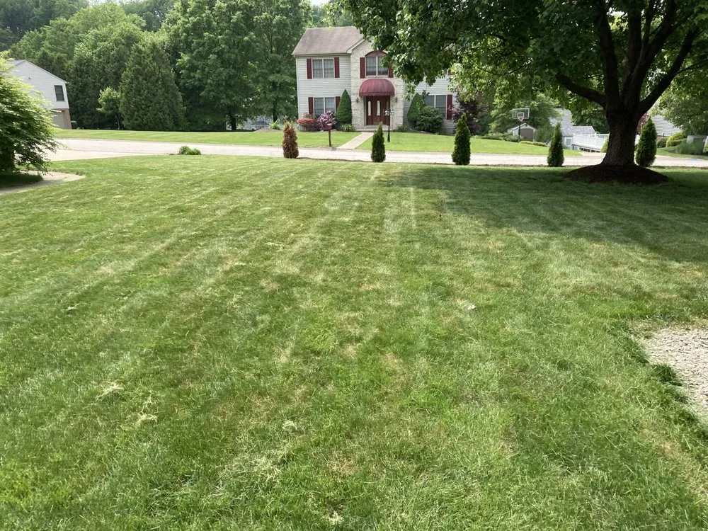 Affordable yard cleanup service in Jeannette, PA - Bro Scapes