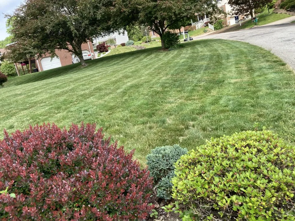 Trusted lawn mowing service near you in Jeannette, PA by Bro Scapes