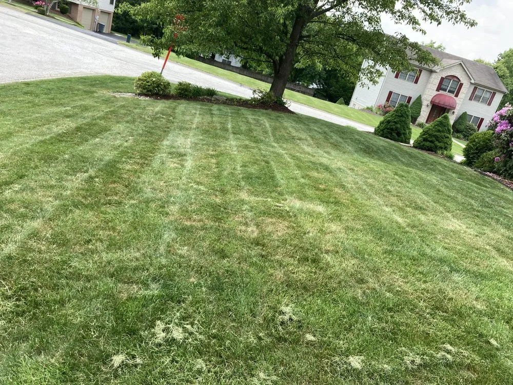 Trusted garden landscaping in Jeannette, PA - Bro Scapes