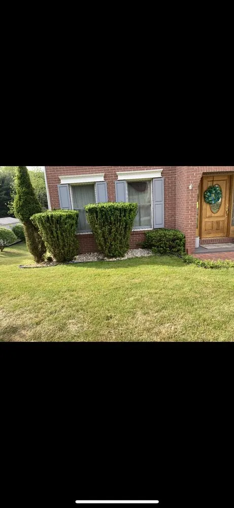 Top-rated lawn mowing service in Trafford, PA - Bro scapes