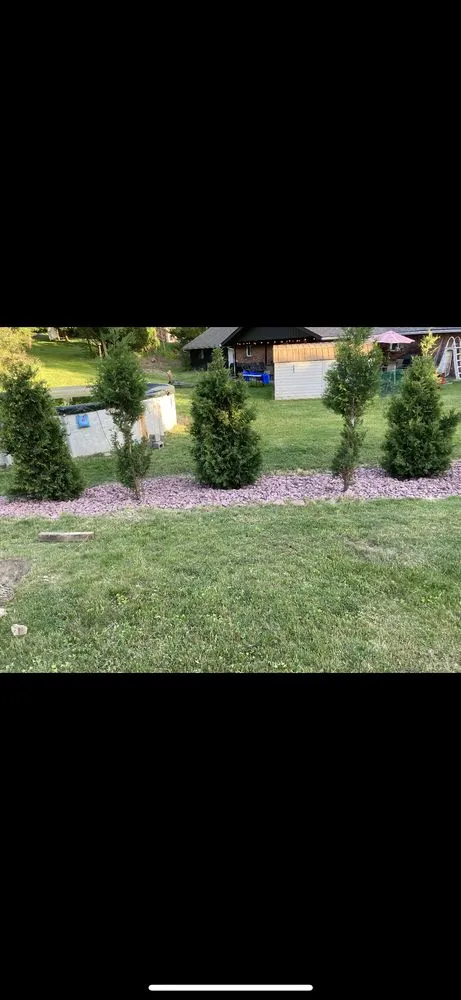 Reliable lawn mowing service in Trafford, PA by Bro scapes