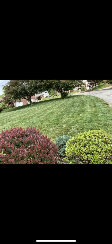 Custom outdoor landscaping experts serving Trafford, PA - Bro scapes