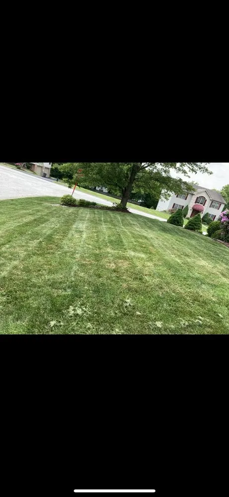 Custom yard cleanup service for homes across Trafford, PA - Bro scapes
