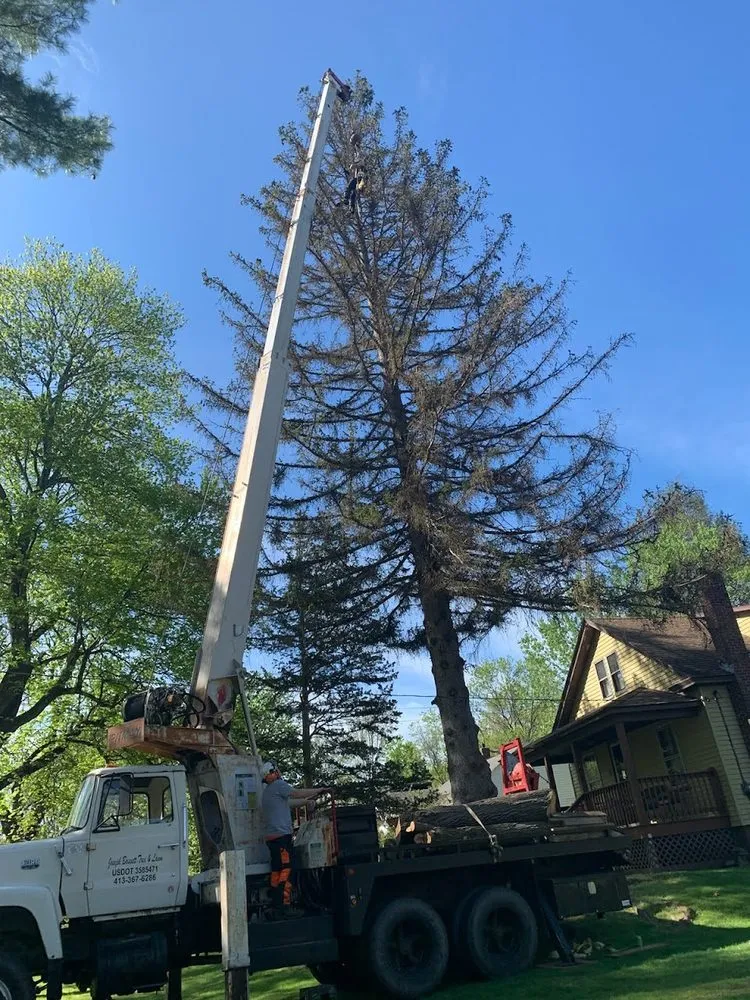 Local residential landscaping for outdoor upgrades across Holyoke, MA - Broad Reach Crane & Tree Service